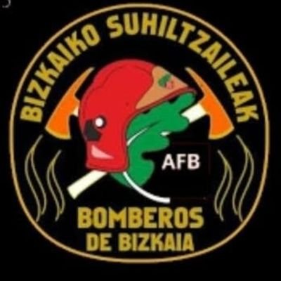 Bomberos y Bomberas Bizkaia's profile picture