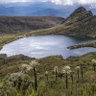Фото профиля DIVERSIDAD ETNOCULTURAL - SOCIOAMBIENTAL
