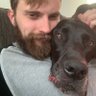 Corey profil fotoğrafı