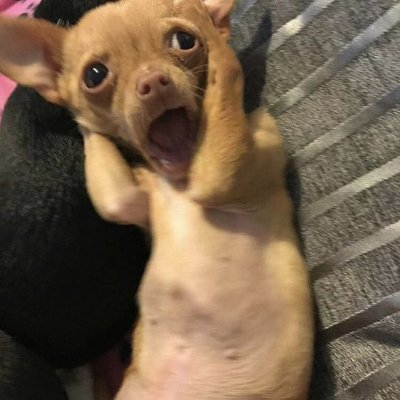 freewifi0_'s profile picture