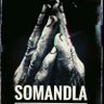 Somandla's profile picture