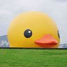 子明👀 profil fotoğrafı