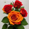 Фото профиля உழப்பே உயர்வு