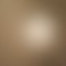 Pingas's profile picture