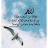Profilbild von حكايات الحياة