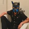 BLN Ballbuster 👾's profile picture