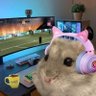 BIGDUPEN's profile picture
