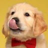 love's profile picture