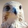 من الناس (#لباس_الضوء) profil fotoğrafı