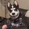 Pistol Pup/ Pup Talem/ Xavier 的头像