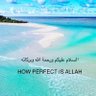 Raajje 的头像