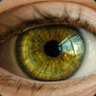 Greeneyes23456 🔞's profile picture