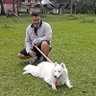 BrunoMattos79's profile picture
