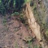 borex profil fotoğrafı