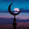 Profilbild von tharfatha 'ain