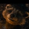 Profilbild von RocketRaccoonEnthusiast