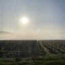Cédric profil fotoğrafı
