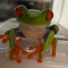 Profilbild von zawatch🐸0930