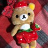 卯月's profile picture