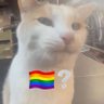Profilbild von ethen