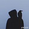 بني ادم profil fotoğrafı