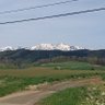 Фото профиля 枯山水