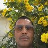 Ali El Hawary's profile picture