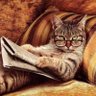 Cuchito 23's profile picture