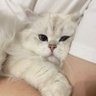 تنفُس profil fotoğrafı