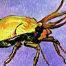 Фото профиля copperbugg