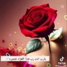 Фото профиля الاحميري اليماني