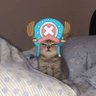 Medium sized Chopper's profile picture