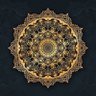 Toni's profile picture