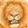 Rrolf's profile picture