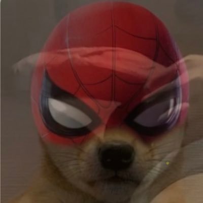 ElBenOso's profile picture