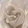 ☆RoSa🌹's profile picture