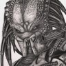 PredatorToAlien's profile picture