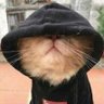 Profilbild von icson badr