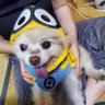 Profilbild von ぱぱらっち