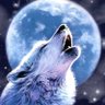 Alion 🌎 profil fotoğrafı