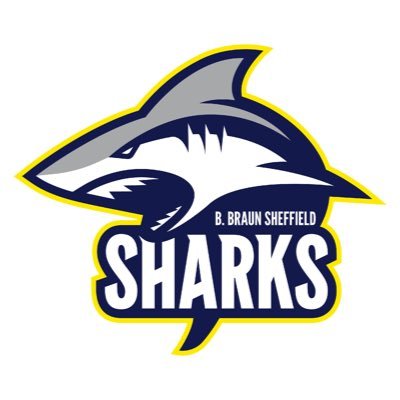 SheffieldSharks's profile picture