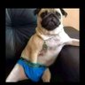 Instru Demente's profile picture