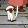 Profilbild von ホピ