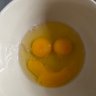 Profilbild von ElonSux1234567