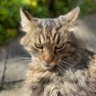 Petra profil fotoğrafı
