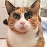 Profilbild von 仮面男爵