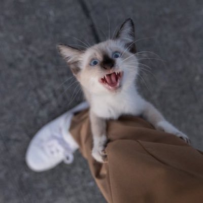 t6k2r2h3s1_nu's profile picture