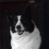 Papa4ways's profile picture