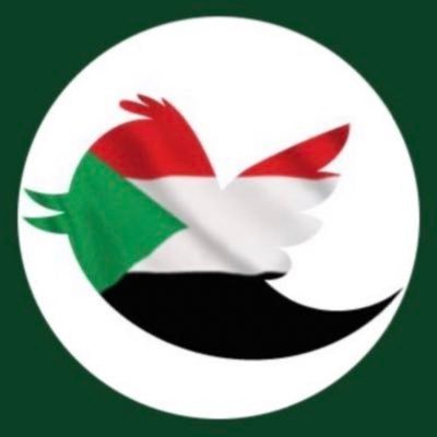 Sudan Trend 🇸🇩's profile picture