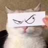 Franzᶻ 𝗓 𐰁 profil fotoğrafı